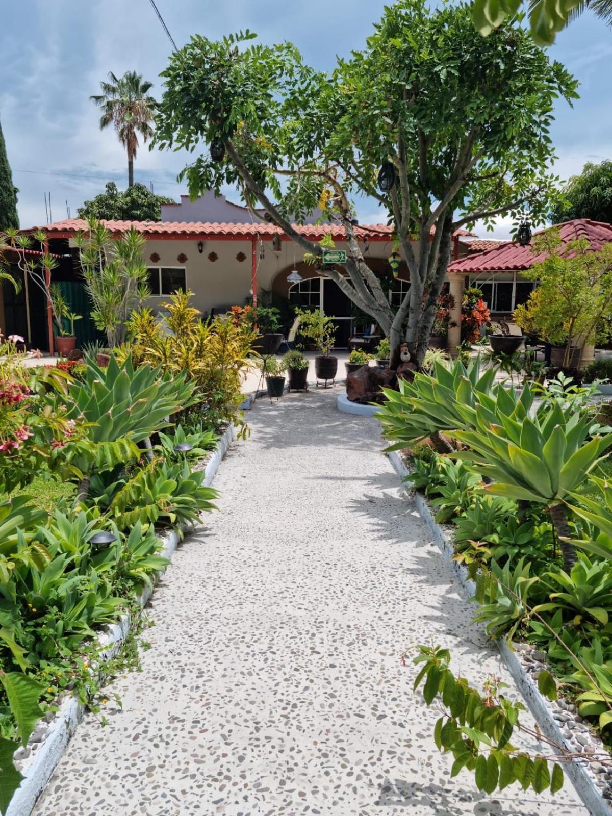 Casa De La Abuela Bed & Breakfast Ajijic Exterior photo