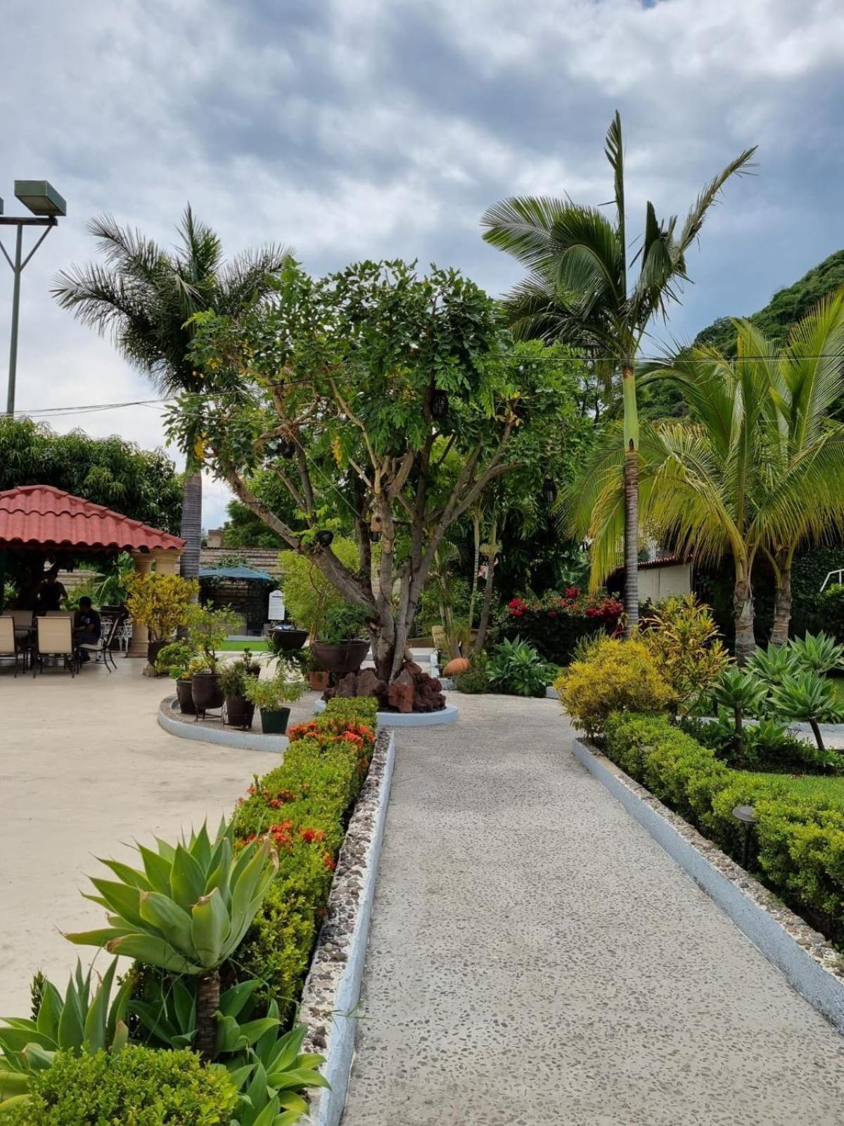 Casa De La Abuela Bed & Breakfast Ajijic Exterior photo